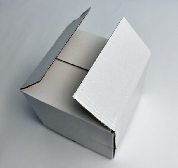IMG_0197-scaled-e1689430624330-768x724-1.jpg Carton Box - Medium (50 pcs)