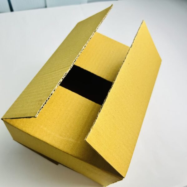 IMG_0987-scaled-1.jpg Carton Box - Small (50 pcs)