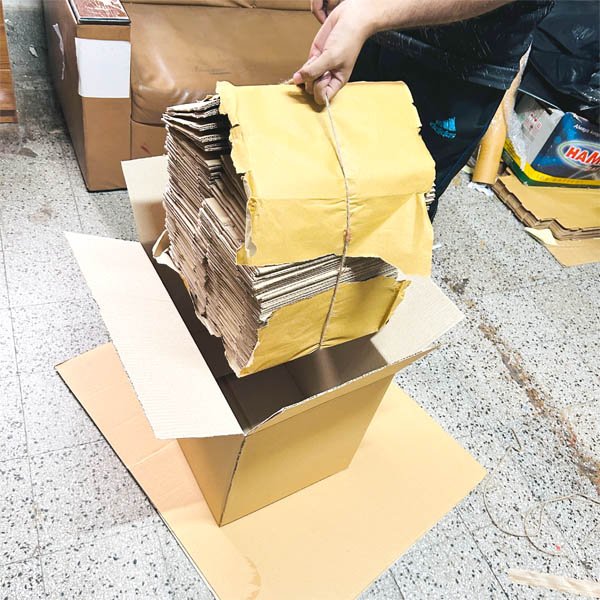 Carton Box - Large (50 pcs)