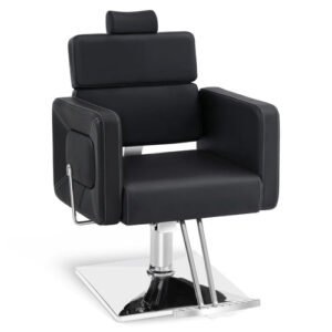 main_b77deee2-a9d6-4b88-882a-1cbb4b8f75da.jpg Premium Adjustable Salon Chair